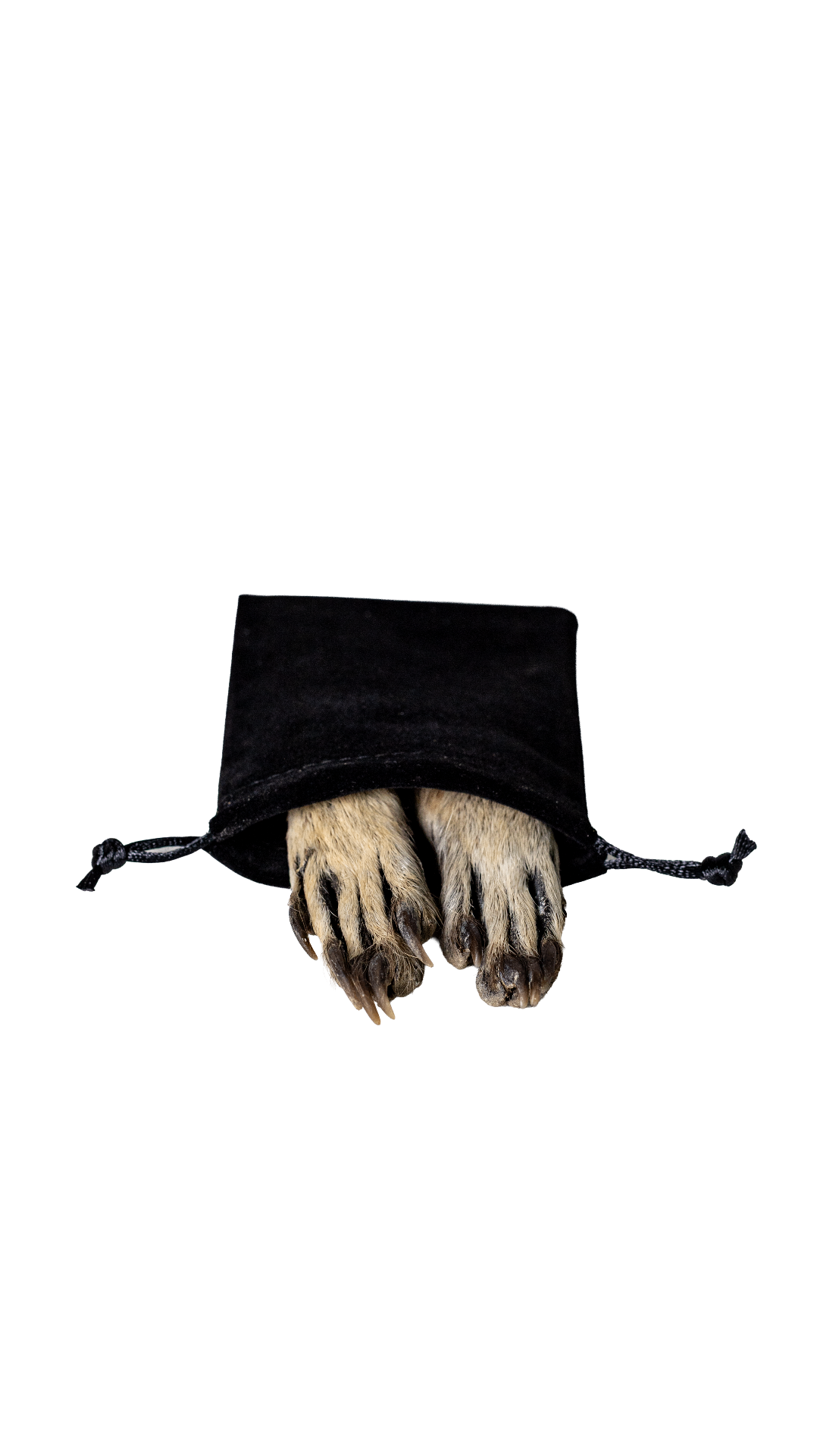 Monkey Paw