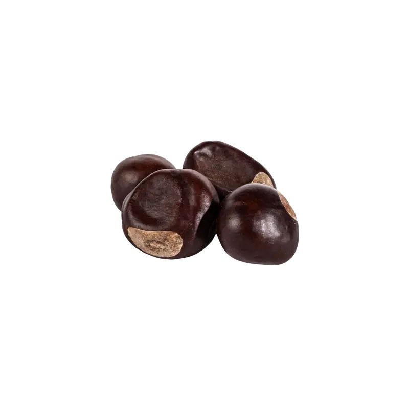 Blessed Jerusalem Buckeye Nuts