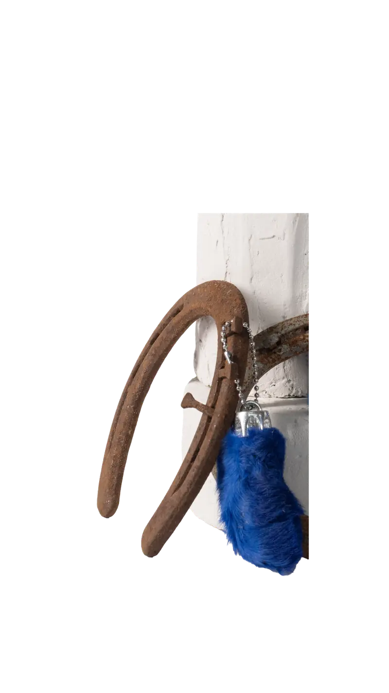 Horseshoe